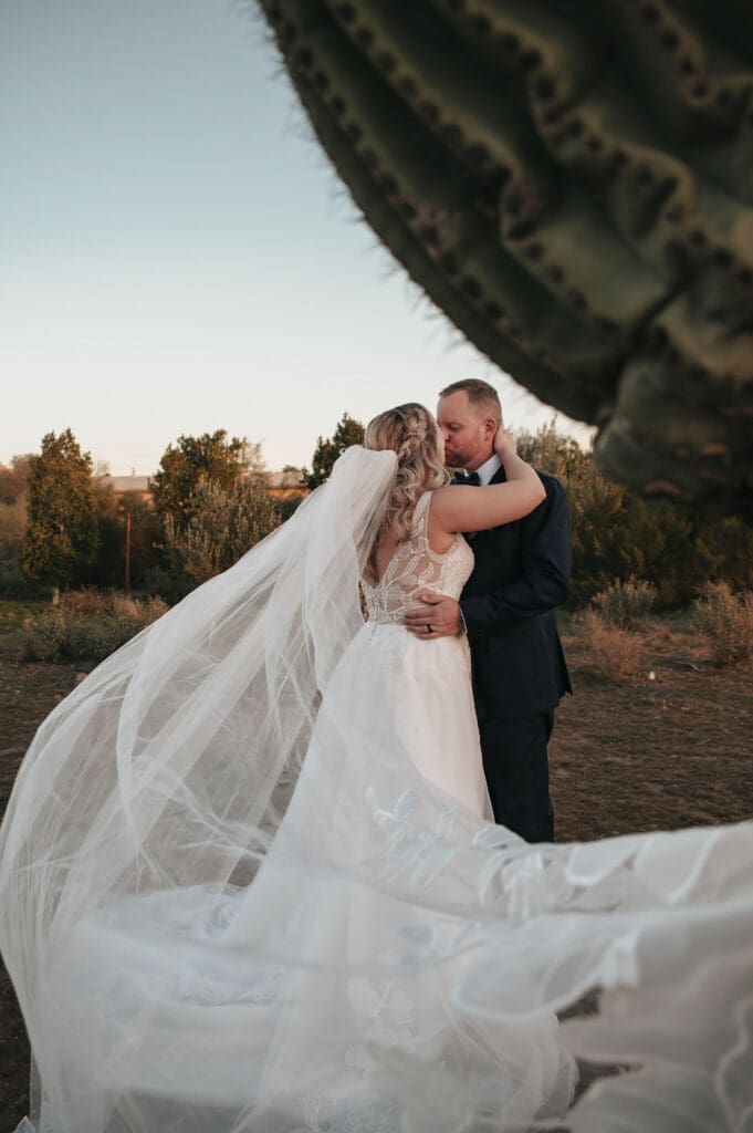 Bride and groom kissing while framed by a saguaro and the bride's beautiful veil flows in the breeze. 