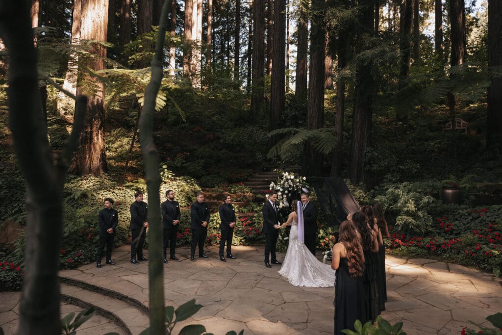 Wide-angle ceremony view showing guests gathered beneath the trees at Nestldown.
