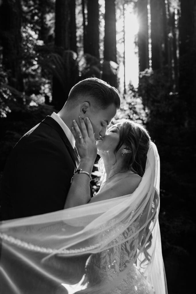 Black and white portrait of newlyweds embracing beneath the redwood trees at Nestldown in Los Gatos.