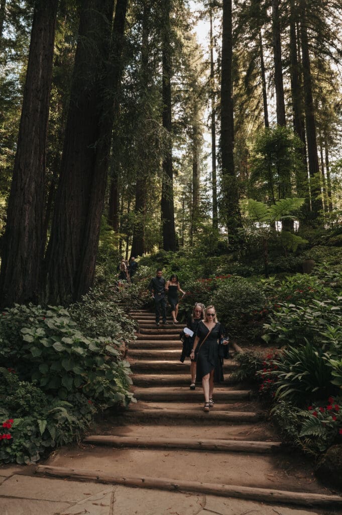 Guests coming down the grand stairs in the redwoods for a Nestldown wedding ceremony. 